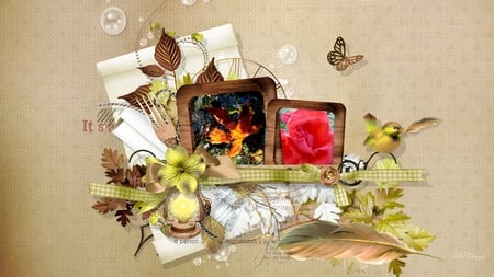 Miracle of Love - bird, feather, lamp, photo, light, firefox persona, leaves, flowers, fall, autumn, bubbles, rose, ribbon, paper