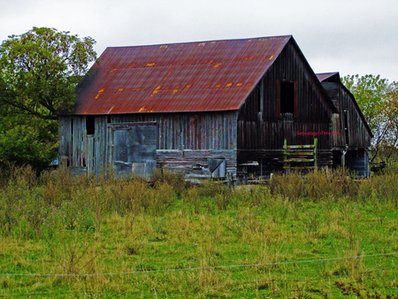 Old Barn - sky, old, barn, trees, weeds, grass