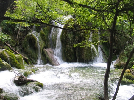 Multiple Falls - lush, trees, river, green, waterfalls, rocks