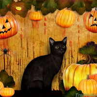 Halloween kitten