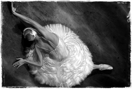 Grace in Black and White - black, white, ballerina, grace