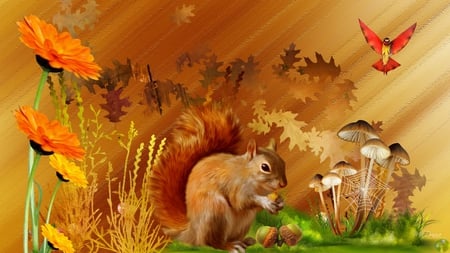 Autumn Squirrel Country - bird, acorns, leaves, flowers, fall, autumn, spider web, mushrooms, squirrel