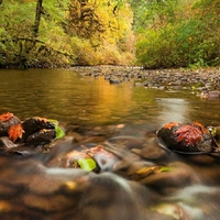 get your feet wet