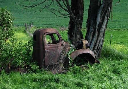 forgotten - car, green, old, grass, rusty, tree