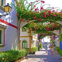 Charming Village