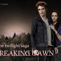 Breaking Dawn 11-18-11