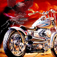 Harley Davidson motocycles