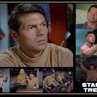 Gary Lockwood as LCDR Gary Mitchell