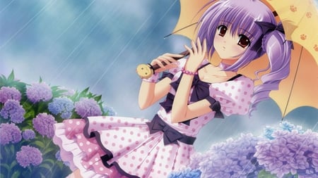 Cute Anime Girl - anime, beautiful, dress, girl, hair, flowers, umbrella, purple, rain, cute