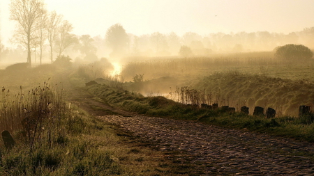 A Beautiful Morning.. - pathway, morning, trees, muddy, field, dust, road, sunrise