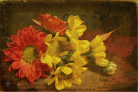 Autumns*t Best - flowers, texture, still life, nature, autumn