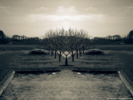 Mirrored Landscape - mirrored, landscape, nature