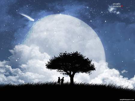 Beatiful Sky - moon, star, comet, couple, tree