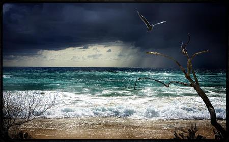 storm and sea