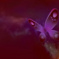 Purple Butterfly