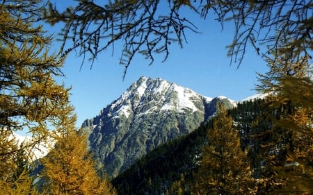 Through the forest - relax, great, snow, light, mountain, widescreen, zen, nice, other, alps, hot, calming, beauty, colors, savoie, wind, bonneval, white, nature, tranquility, picture, autumn, blue, amazing, landscape, forest, dream, gorgeous, vanoise, colored, color, france, sky, trees, winter, beautiful, photography, spiritual, rock, cool, tree, colorful, awesome, cold, forces of nature, mountains, peaceful, dreamy