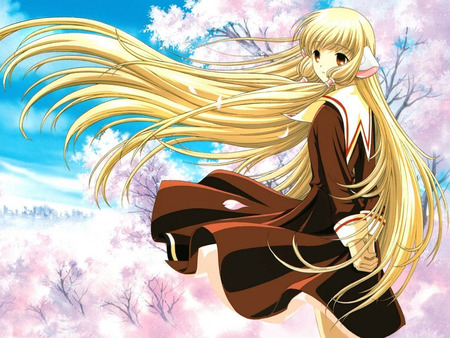 Chobits in a Blossomfield - anime, blossom, chobits