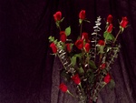 Red Roses