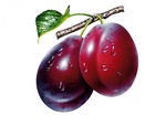 plums