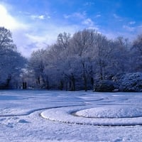 winter in park 