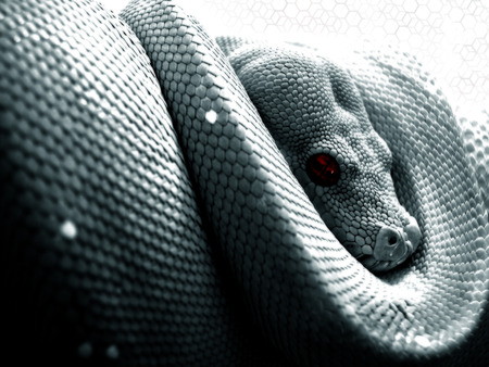 culebron - gray snake, snake