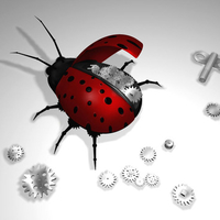 Lady Bug