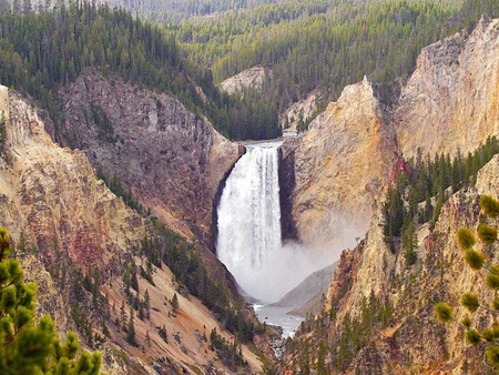 Yellowstone Lower Falls - rock, yellowstone, falls, trees