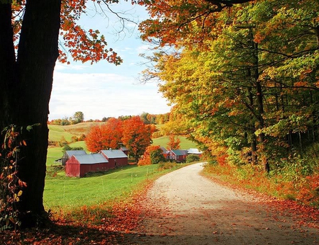 Jeanne Farm - warm, vermont, sunny, leaves, path, countryside, red, golden, farm, houses, sky, trees, hot, road, village, usa, fall, colorful, nature, autumn, america, cottages, country, peaceful