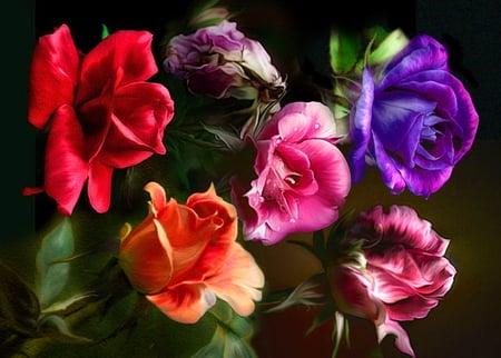 Rose art - roses, light, purple, red, pink, blue, green, orange, flowers, colors