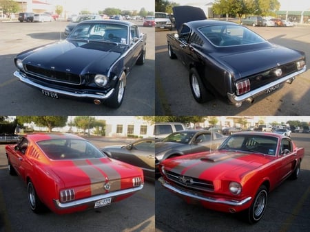 American-Muscle-at-Leander-Texas - ford, classic mustang, mustang, fastback