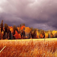 Stormy Fall Colors