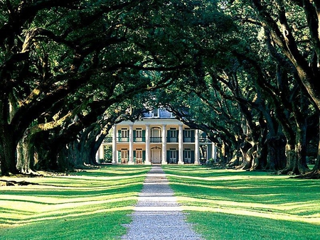 Oak Alley Plantation - house, grass, trees, sidewalk