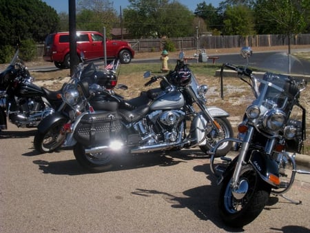 Biketober-Fest-Fort-Hood-Harley-Davidson-Killeen-Texas-15-October-2011----15 - harley, bikes, davidson, harley davidson