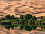 Beautiful Desert