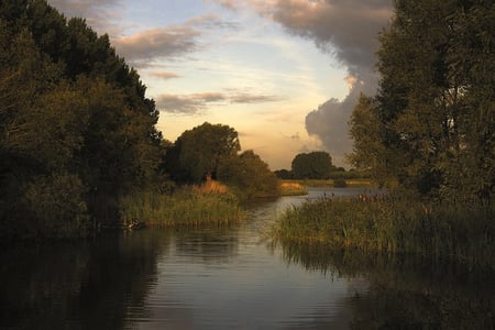 Sunlit Backdrop on Lake - lake, sky, clouds, sun, water, marsh