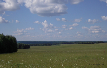 Field - wallpapers, sky, field, images