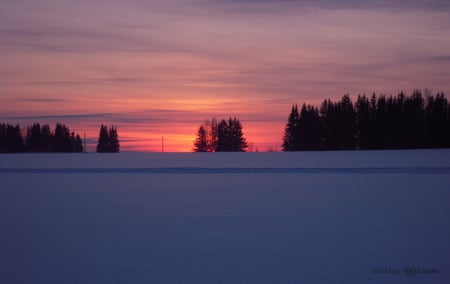 Winter sunset - winter, wallpapers, sunset, images