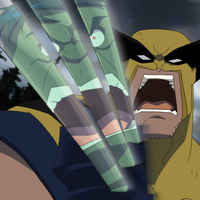 Wolverine with The Hulk reflection