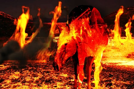 Horse Of Fire - horses, smoke, fire, animals