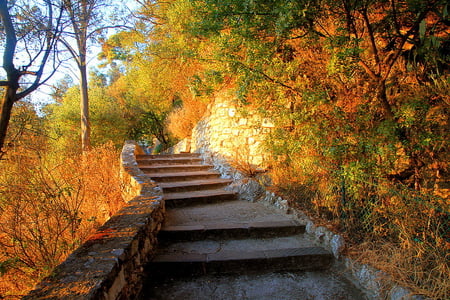 October stairs - stairs, autumn, trees, red, green, gold