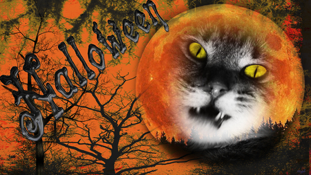 Halloween Cat - abstract, halloween, fantasy, other