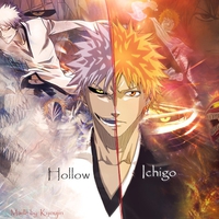 Ichigo & his Hollow