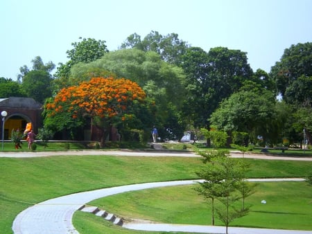 Garden - flowers, spring, nature, garden