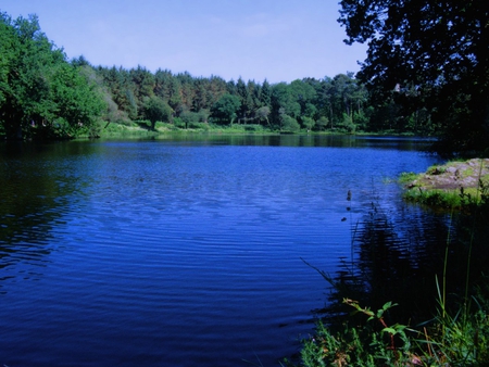 Brilliant Blue Pond - deep blue, lake, trees, forest