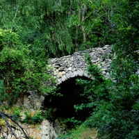 Stone Bridge in Forest