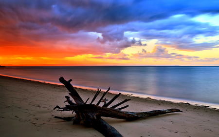 Amazing Sky - beauty, sky, beach, peaceful, colorful, sunset, wood, amazing, view, reflection, clouds, orange, sand, ocean, lovely, waves, nature, blue, beautiful, splendor, colors, sea