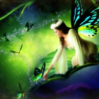 THE BUTTERFLY FAIRY