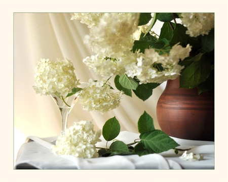 Beautiful still life - beauty, beautiful, flowers, brightness, cloth, white flowers, tenderness, light, jug