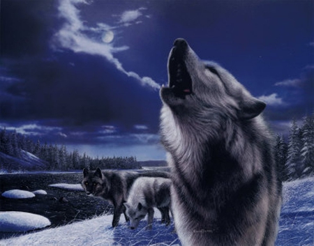 The howl of a life time - howling, wolf, wolves, paintings