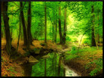 green forest